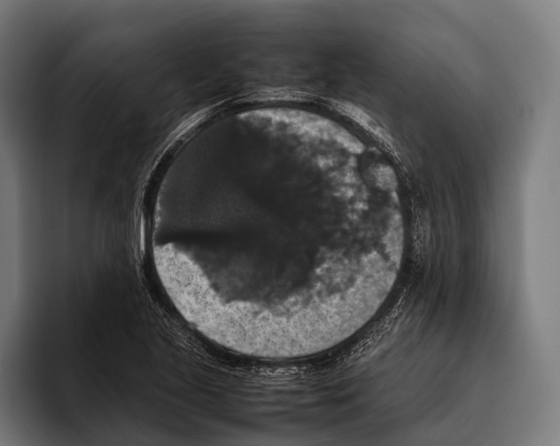 X0000093371221200711081518