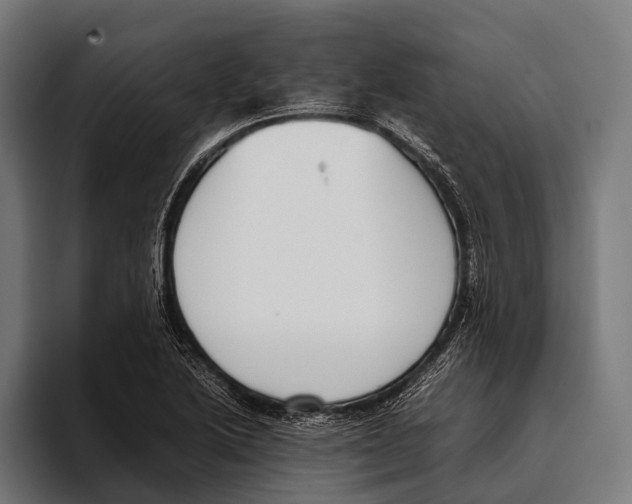 X0000093371222200711081518