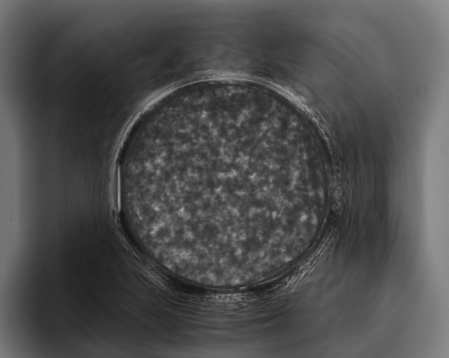 X0000093371223200711081518