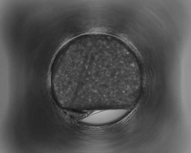 X0000093371224200711081518
