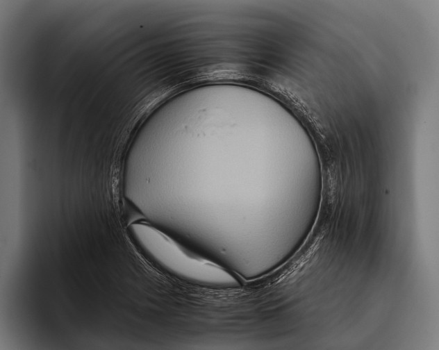 X0000093371225200711081518
