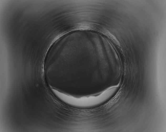 X0000093371226200711081518