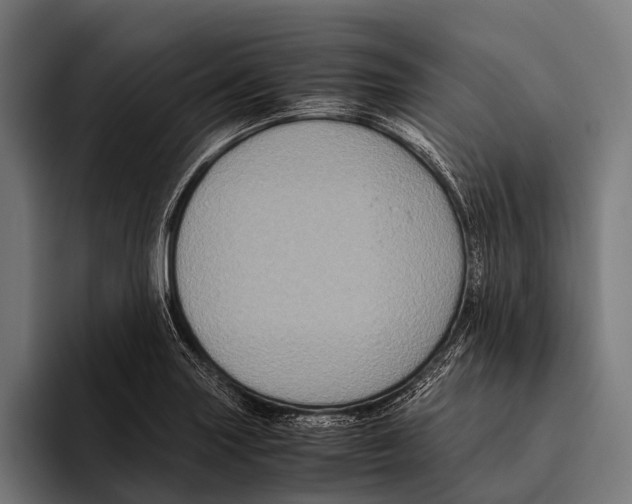 X0000093371227200711081518