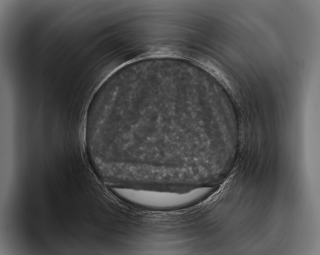 X0000093371228200711081518