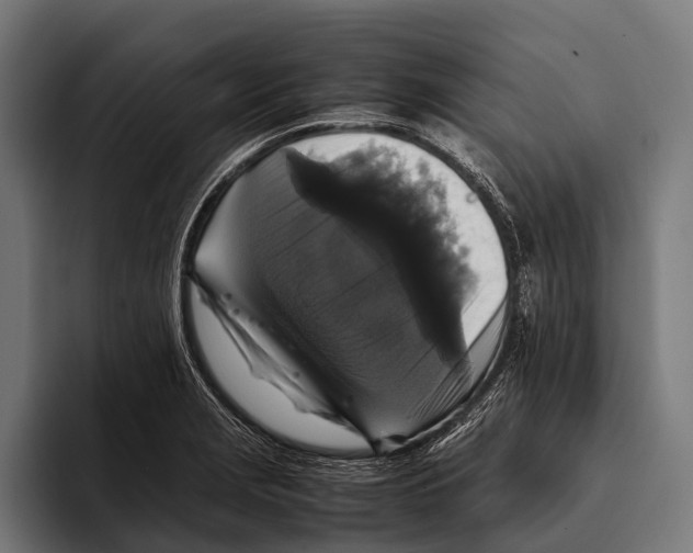 X0000093371229200711081518