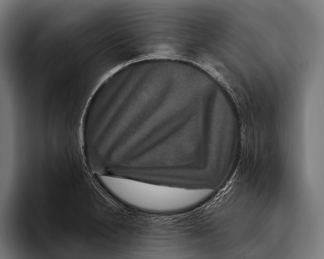 X0000093371230200711081518
