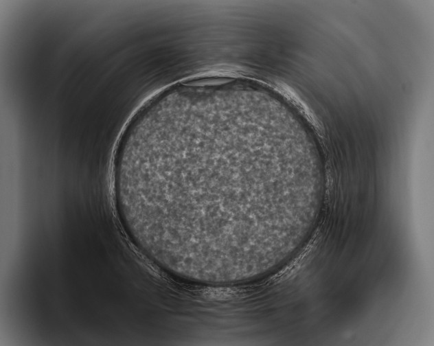 X0000093371232200711081518