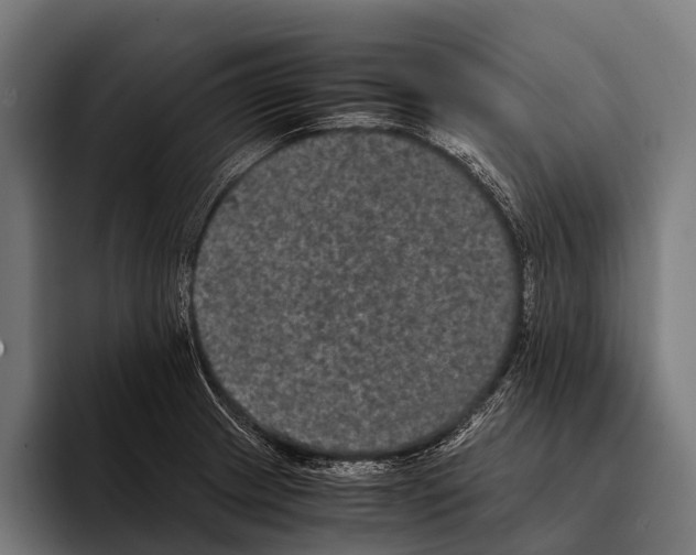 X0000093371233200711081518