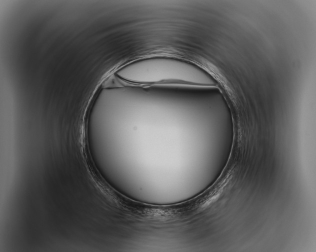 X0000093371234200711081518