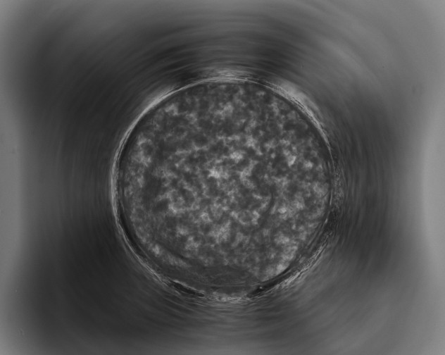 X0000093371235200711081518