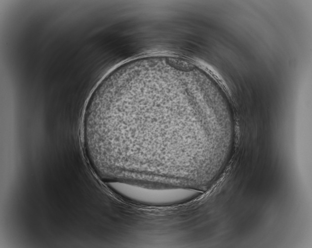 X0000093371236200711081518
