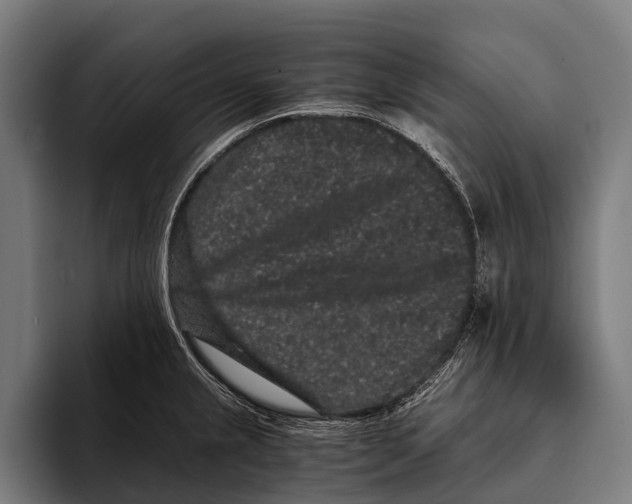 X0000093371237200711081518