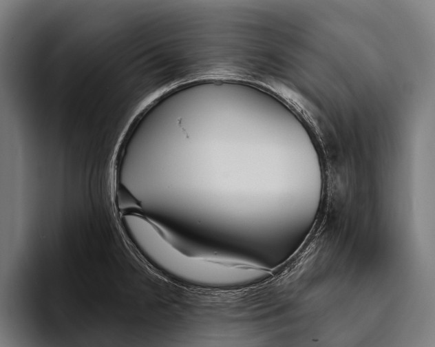 X0000093371238200711081518