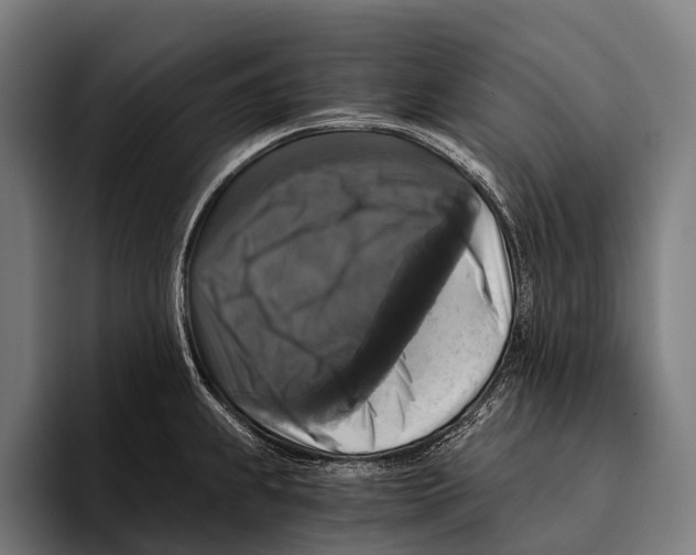 X0000093371239200711081518