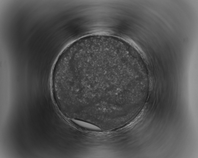 X0000093371240200711081518