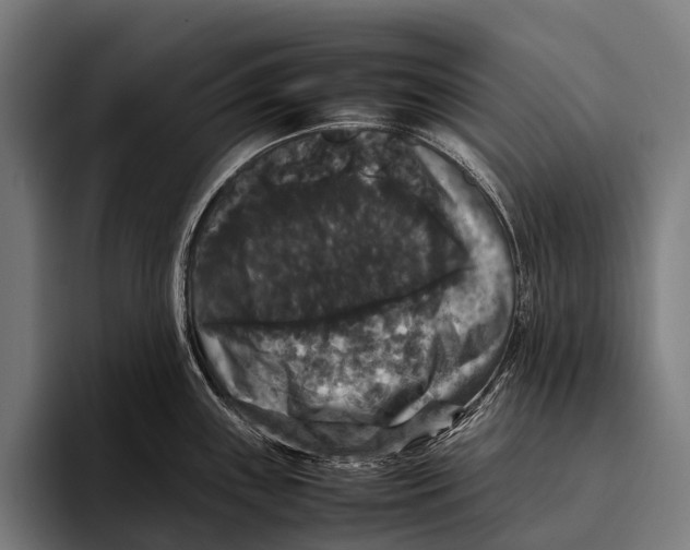 X0000093371243200711081518