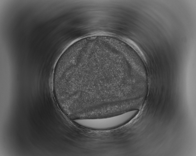 X0000093371244200711081518