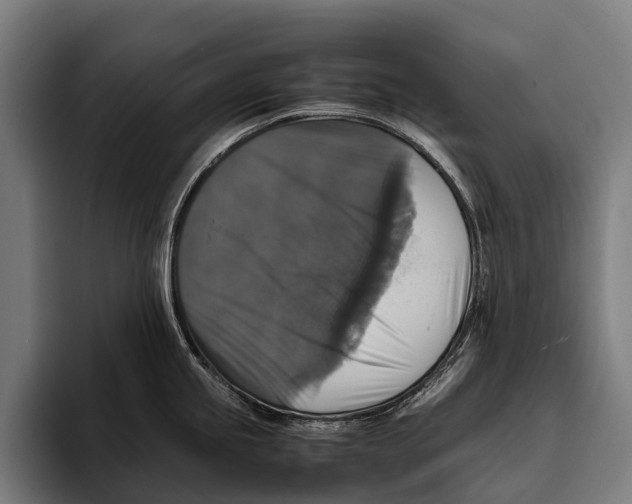 X0000093371245200711081518