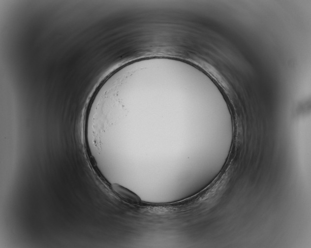 X0000093371246200711081518
