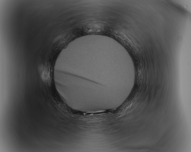X0000093371250200711081518