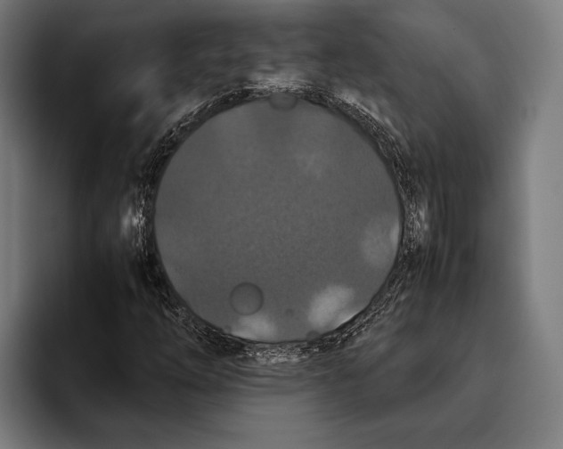 X0000093371254200711081518