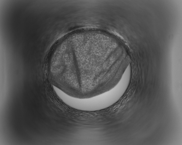 X0000093371255200711081518