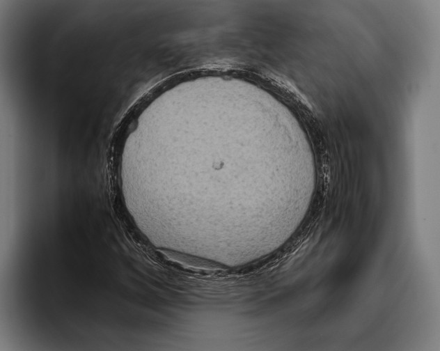 X0000093371256200711081518
