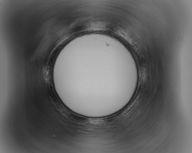 X0000093371258200711081518