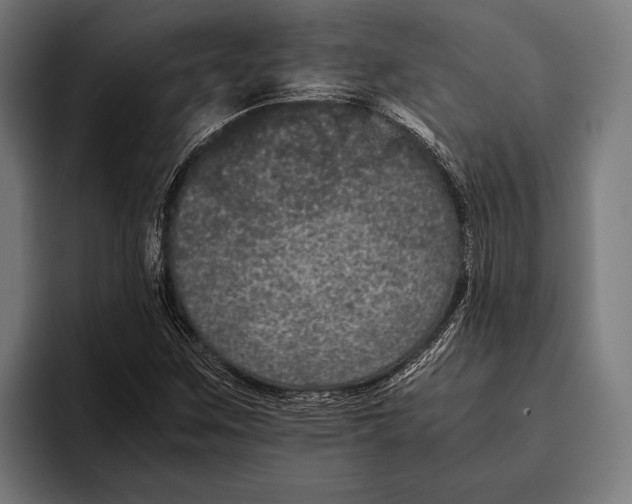 X0000093371259200711081518