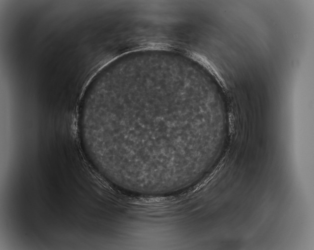 X0000093371260200711081518