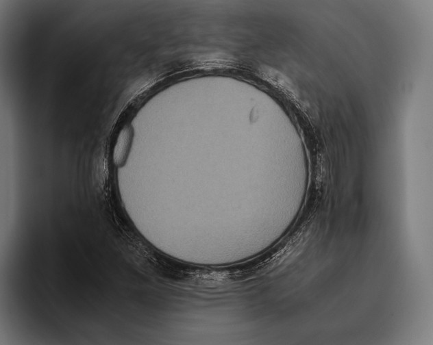 X0000093371261200711081517