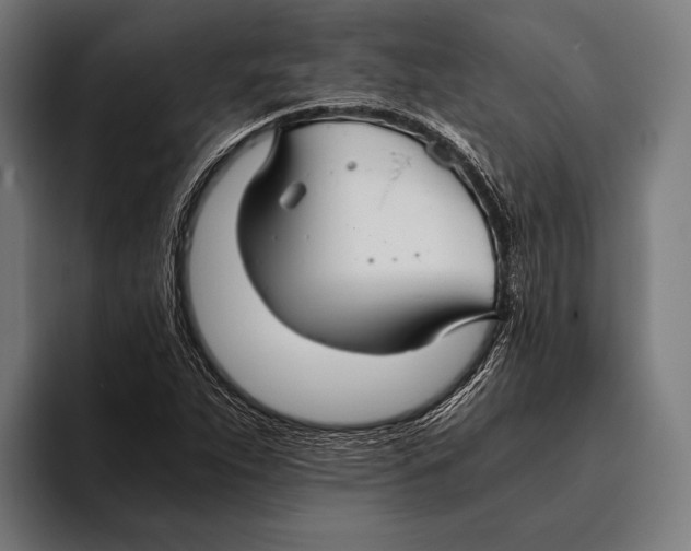 X0000093371263200711081517