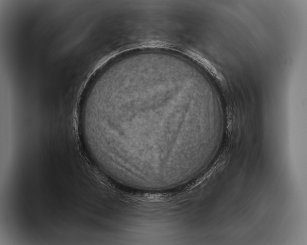 X0000093371264200711081517
