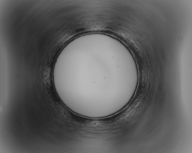 X0000093371265200711081517