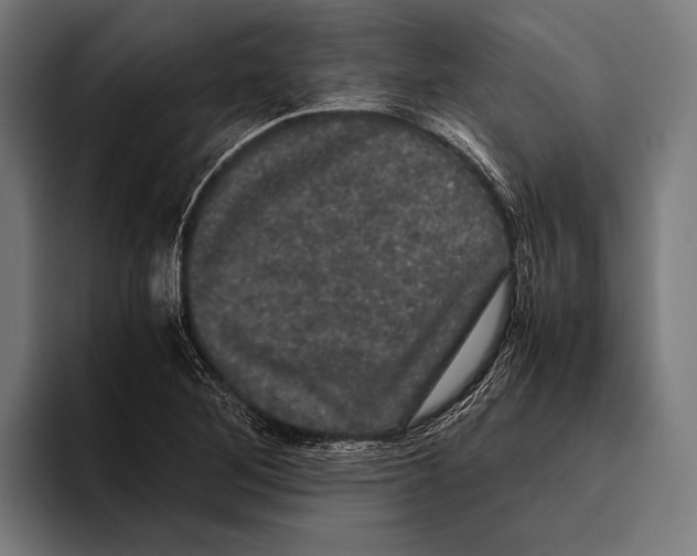 X0000093371268200711081517