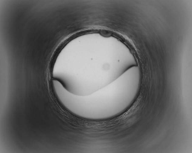 X0000093371271200711081517