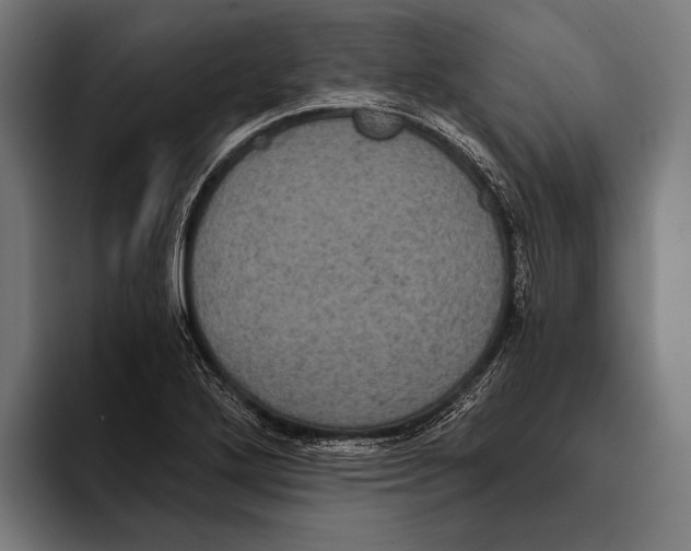 X0000093371272200711081517