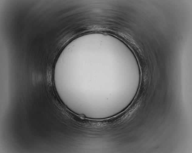X0000093371273200711081517