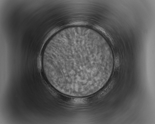 X0000093371274200711081517