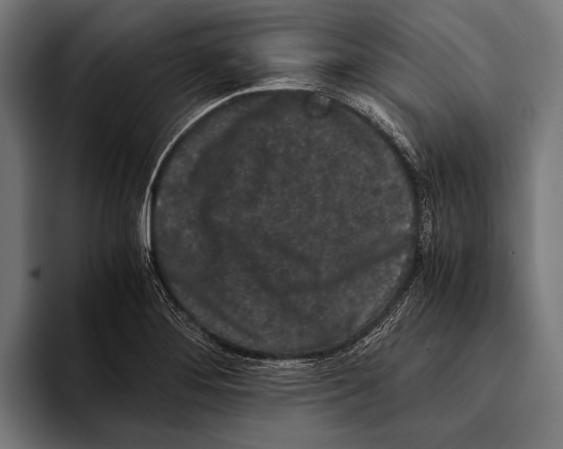 X0000093371276200711081517