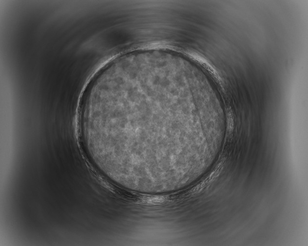 X0000093371278200711081517