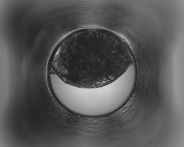 X0000093371279200711081517