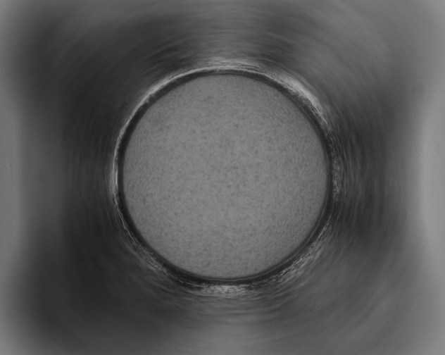 X0000093371280200711081517