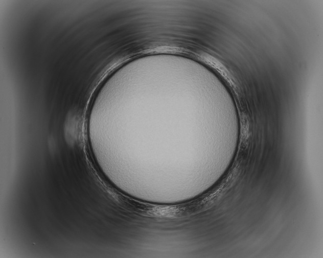 X0000093371282200711081517