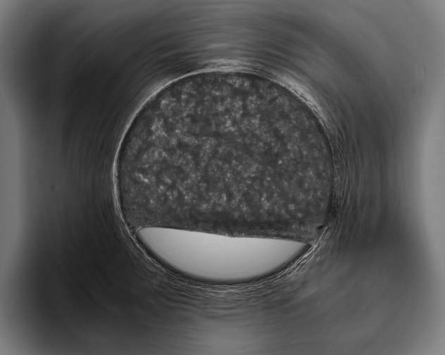 X0000093371283200711081517