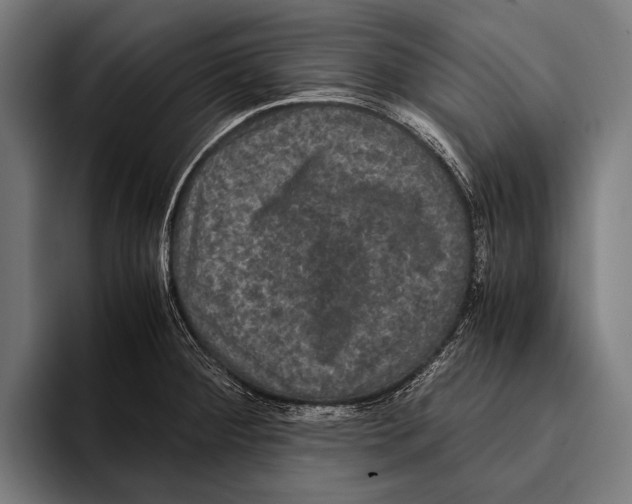 X0000093371284200711081517