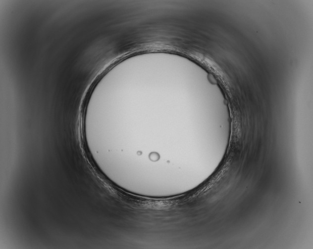 X0000093371286200711081517