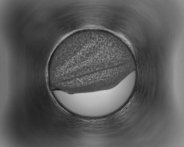 X0000093371287200711081517