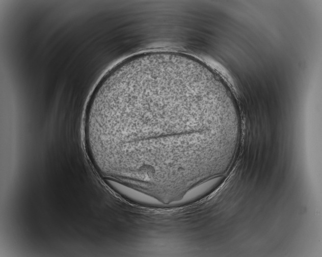 X0000093371288200711081517