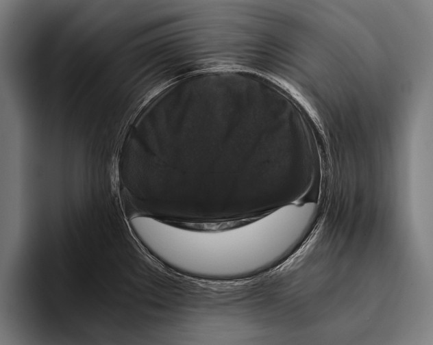 X0000093371289200711081517